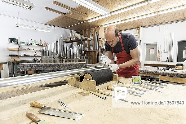 Organ builder  cutting an organ pipe  pre-intonation  Laberweinting  Bavaria  Germany  Europe