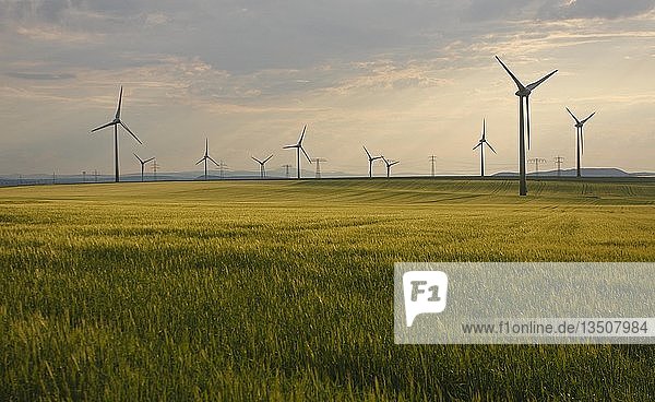 Windkraftanlagen in einem Weizenfeld  Erfurt  Thüringen  Deutschland  Europa