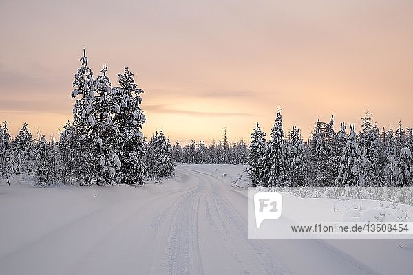 Straße durch verschneite Bäume  Winterlandschaft  Dämmerung  Riisitunturi-Nationalpark  Posio  Lappland  Finnland  Europa