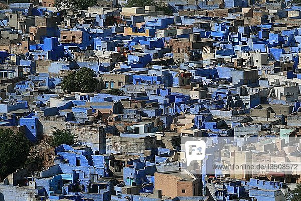 Blaue Stadt  Jodhpur  Indien  Südasien  Asien