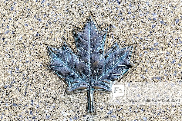 Ahornblatt aus Metall in Steinplatte  Symbol Kanada  Ottawa  Provinz Ontario  Kanada  Nordamerika