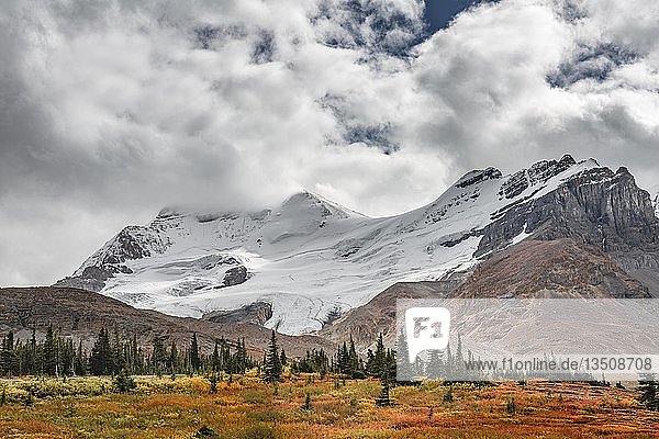 Karge Landschaft  Gletschertal  Mount Athabasca  Icefields Parkway  Jasper National Park National Park  Kanadische Rocky Mountains  Alberta  Kanada  Nordamerika