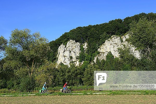 Cyclists in front of Jura rocks on the Danube near Matting  Regensburg  East Bavaria  Lower Bavaria  Bavaria  Germany  Europe