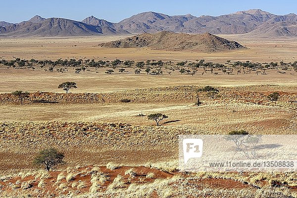 Dry grasslands in front of ridges  Gondwana Namib Park  near Sesriem  Hardap Region  Namibia  Africa