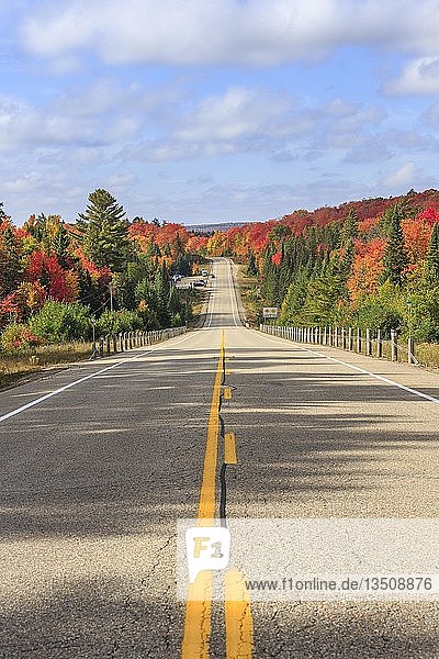 Road through autumn forest  Algonquin Provincial Park  Indian Summer  Ontario  Canada  North America