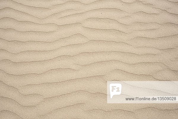 Sand mit wellenförmiger Struktur  Ijmuiden  Nordholland  Niederlande
