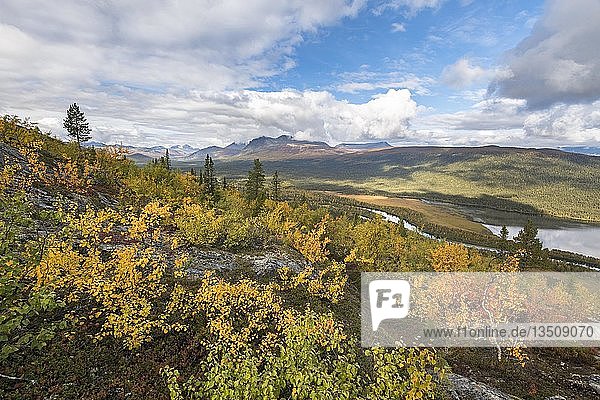 Blick auf die Berge des Sarek Nationalparks  Herbstvegetation  Kvikkjokk  Laponia  Norrbotten  Lappland  Schweden  Europa