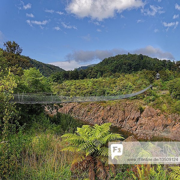 Buller Gorge Swing Bridge über den Buller River  Tasman Region  Southland  Neuseeland  Ozeanien