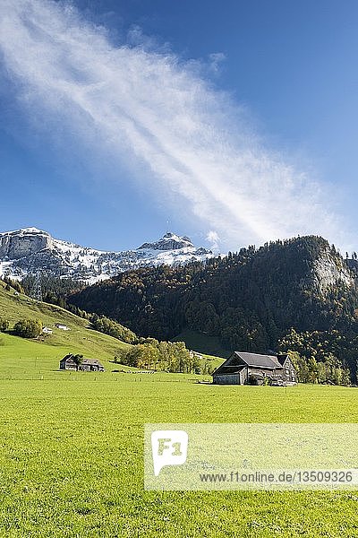 Blick über eine Weide auf die schneebedeckten Appenzeller Alpen  Hoher Kasten  rechts  und Kamor  links  Kanton Appenzell-Innerrhoden  Schweiz  Europa