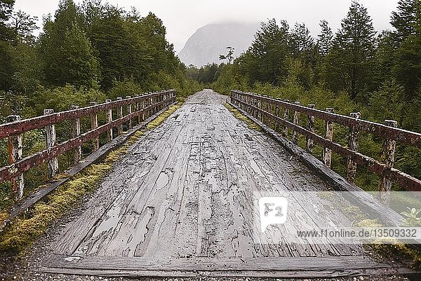 Einfache Holzbrücke am Mirador Glaciar Exploradores  Parque Exploradores  Carretera Austral  Patagonien  Chile  Südamerika