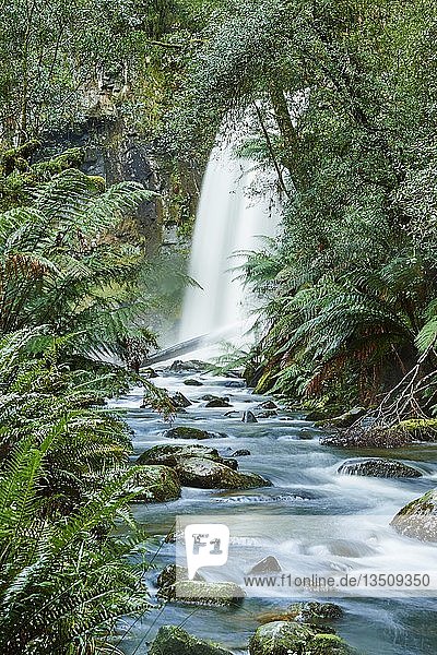 Hopetoun Falls im Regenwald  Great Otway National Park  Victoria  Australien  Ozeanien