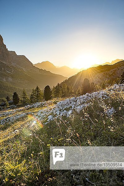 Sonnenaufgang vor Bergsilhouette mit Bergwiese  Blick zum Monte Cristallo  Falzaregopass  Dolomiten  Südtirol  Trentino-Südtirol  Italien  Europa