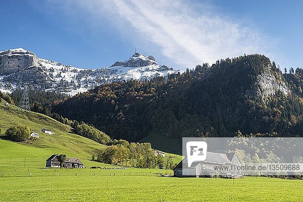 Blick über eine Wiese auf die schneebedeckten Appenzeller Alpen  Hoher Kasten  rechts  und Kamor  links  Kanton Appenzell-Innerrhoden  Schweiz  Europa