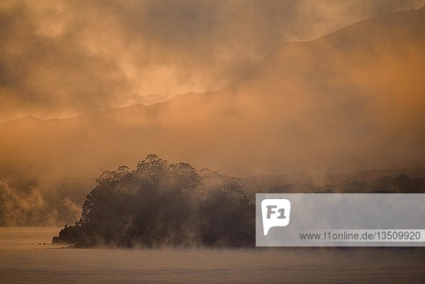 Sonnenaufgang über Bäumen mit Nebel am Lago Llanquihue Puerto Varas Patagonien Carretera austral Chile Südamerika