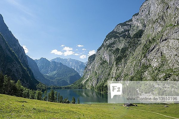 Blick über den Obersee mit Fischunkelalm  hinter dem Watzmann  Nationalpark Berchtesgaden  Berchtesgadener Alpen  Berchtesgadener Land  Bayern  Deutschland  Europa