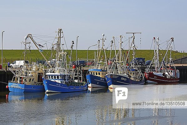 Fischerboote im Neuen Meldorfer Hafen  Meldorf  Dithmarschen  Schleswig-Holstein  Deutschland  Europa