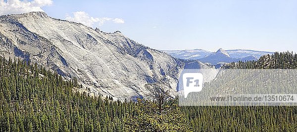 Plateau am Tioga-Pass  Tioga-Pass  Yosemite-Nationalpark  Kalifornien  Vereinigte Staaten  Nordamerika