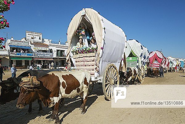 Verzierte Ochsenkarren Leute in traditioneller Kleidung Pfingsten Wallfahrt von EL Rocio Huelva-Provinz Andalusien Spanien Europa