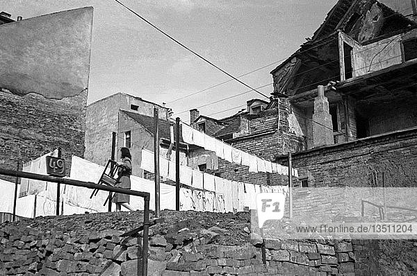 Wäsche trockenen zwischen den Ruinen 1948 Leipzig Sachsen DDR Deutschland Europa