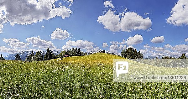 Saftig grüne Bergwiese mit weißen Wolken vor blauem Himmel beim Eckbauer  Eckbauer  Garmisch-Partenkirchen  Oberbayern  Bayern  Deutschland  Europa