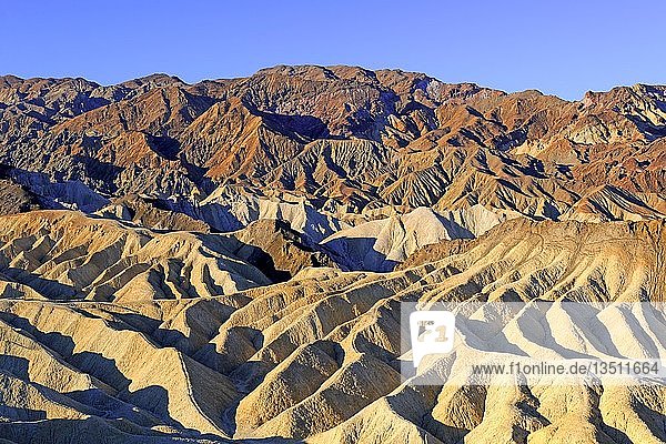 Felsformationen am Morgen  Zabriske Point  Death Valley National Park  Kalifornien  USA  Nordamerika