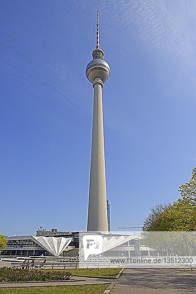 Fernsehturm  369m  am Alexanderplatz  Mittelberg  Berlin  Deutschland  Europa