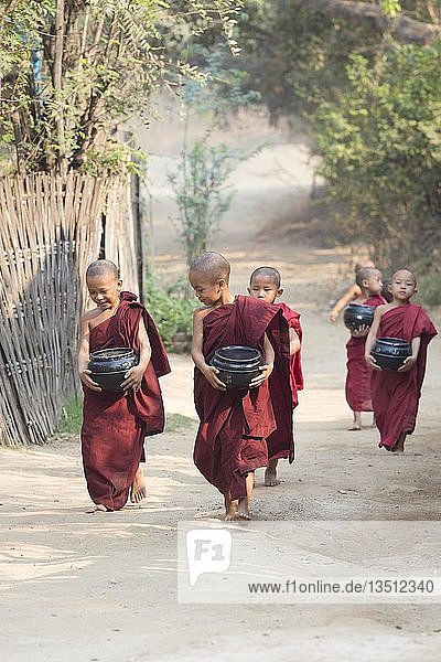 Junge Mönche auf ihrer morgendlichen traditionellen Almosenrunde  Bagan  Myanmar  Asien