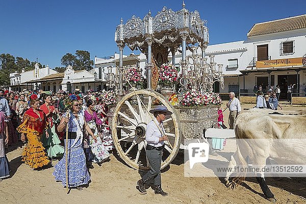 Menschen in traditioneller Kleidung und geschmückten Ochsenkarren  Pfingstwallfahrt von El Rocio  Provinz Huelva  Andalusien  Spanien  Europa