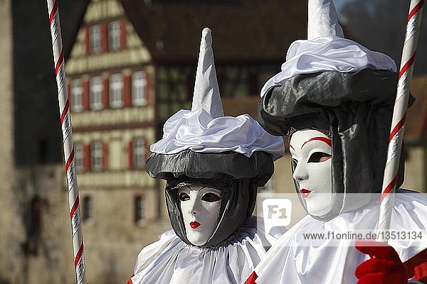 Maskierte Menschen  im Hintergrund das Ufer des Kochers  Hallia Venezia Karneval  Schwäbisch Hall  Baden-Württemberg  Deutschland  Europa