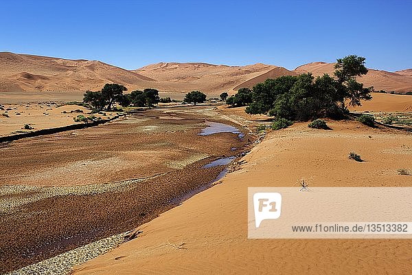 Seltenes Wasser im Tsauchab-Fluss  Sossusvlei in der Namib-Wüste  Namibia  Afrika