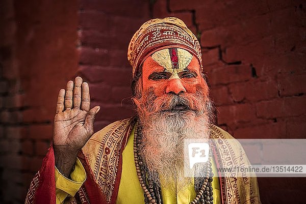 Sadhu  Ascetic  holy man  Pashupatinath  Kathmandu  Nepal  Asia