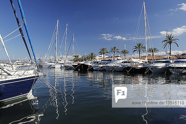 Boote im Yachthafen von Alcúdia  Mallorca  Mallorca  Spanien  Europa