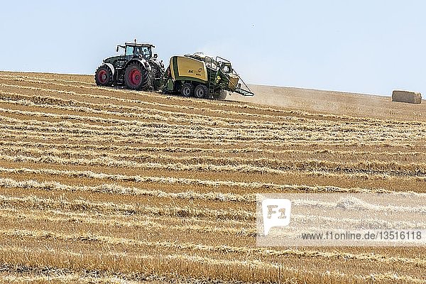 Traktor mit Strohballenpresse auf einem gemähten Weizenfeld  Mecklenburg-Vorpommern  Deutschland  Europa