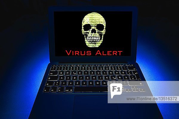 Laptop mit Totenkopf auf Bildschirm  Symbolbild Malware  Virenalarm  Computerkriminalität  Datenschutz  Baden-Württemberg  Deutschland  Europa