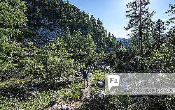 Wanderin auf dem Wanderweg von Salet zum Kärlingerhaus  Nationalpark Berchtesgaden  Berchtesgadener Land  Oberbayern  Bayern  Deutschland  Europa
