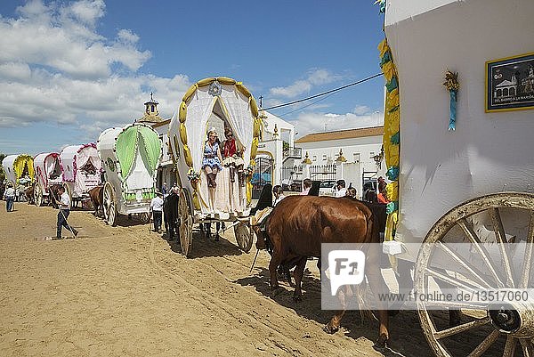 Verzierte Ochsenkarren Leute in traditioneller Kleidung Pfingsten Wallfahrt von EL Rocio Huelva-Provinz Andalusien Spanien Europa