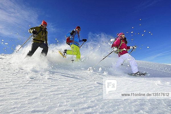 Schneeschuhtour zum Fellhorn  Reit im Winkl  Bayern  Deutschland  Europa