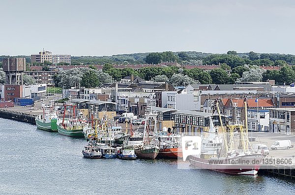 Harbor of Ijmuiden with moored fishing boats or trawlers and tugboats  North Holland  the Netherlands  Europe