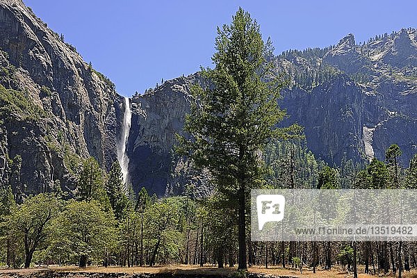 Bridalveil Falls  ein Wasserfall im Yosemite-Nationalpark  Kalifornien  USA  Nordamerika