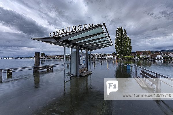 Überfluteter Steg  Ermatingen  Bodensee  Thurgau  Schweiz  Europa