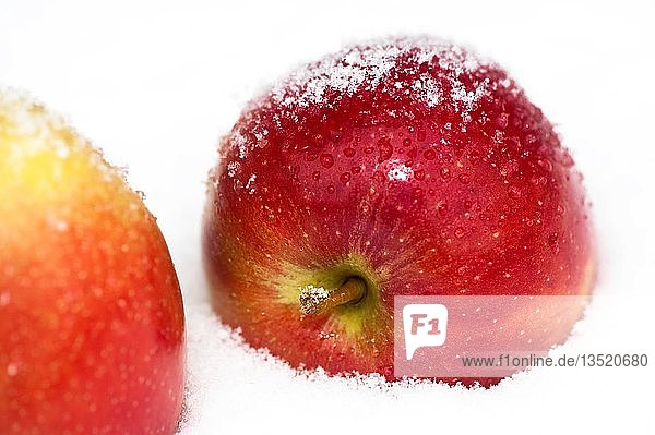2 rote Äpfel liegen im Schnee