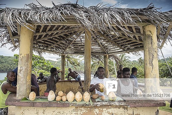 Junge Männer verkaufen frische Kokosnüsse an einem Kiosk  Boca do Inferno  São Tomé  São Tomé und Príncipe