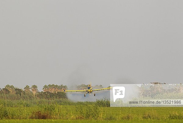 Flugzeug sprüht Insektenvernichtungsmittel auf die Reisfelder (Oryza sativa) und die umliegenden Feuchtgebiete Juli in der Umgebung des Naturparks Ebro-Delta Provinz Tarragona Katalonien Spanien Europa