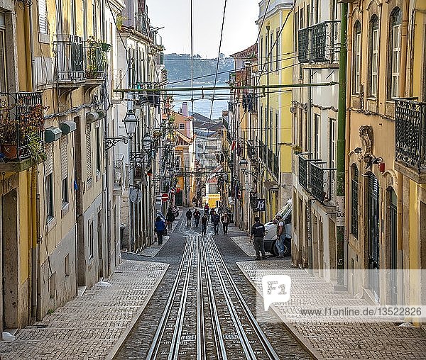 Gleise  Schienen des Elevador da Bica in der Rua da Bica de Duarte Belcio  Lissabon  Portugal  Europa