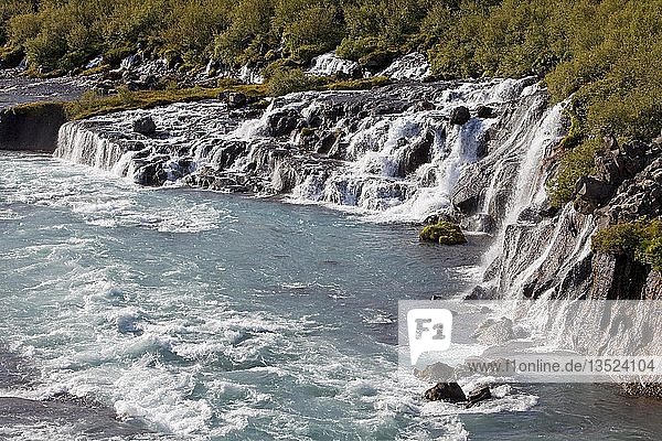 Wasserfall Hraunfossar mit dem blauen Fluss Hvitá  Westisland  Island  Europa