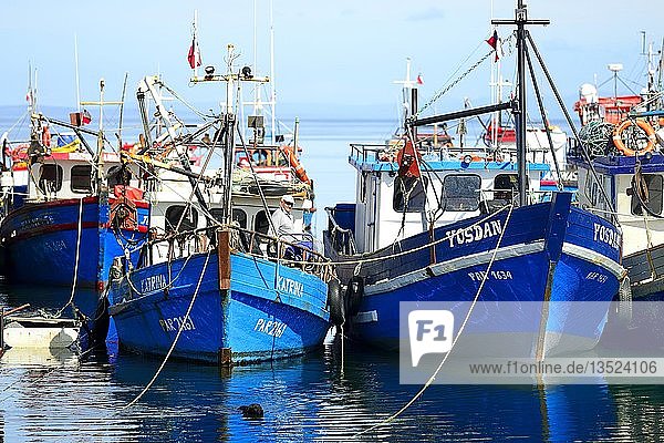 Fischerboote in der Bucht von Puerto del Hambre  nahe Punta Arenas  Magallanes  Patagonien  Chile  Südamerika