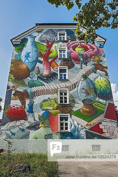 Hausfassade mit Graffiti vom spanischen Streetart-Künstler Liqen El Gabinete de las curiosidades Dachauerstraße München Oberbayern Bayern Deutschland Europa