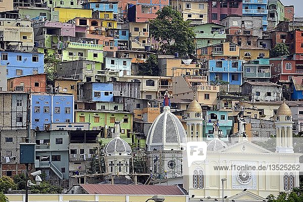 Bunte Häuser auf dem Cerro del Carmen  Guayaquil  Ecuador  Südamerika
