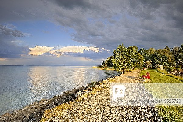 Uferpromenade am Bodensee bei Güttingen Kanton Thurgau Schweiz Europa