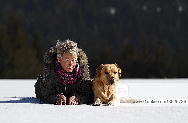Frau mit Golden Retriever im Schnee liegend  Thüringen  Deutschland  Europa